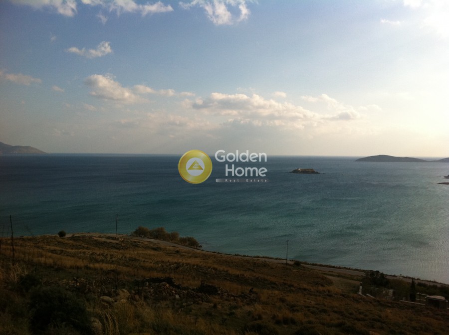 Αγροτεμάχια 4.000 τ.μ. προς πώληση, Κόκκαλοι