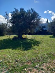 Οικόπεδο 877 τ.μ. για πώληση