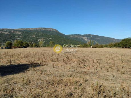 Οικόπεδο 5.000 τ.μ. για πώληση