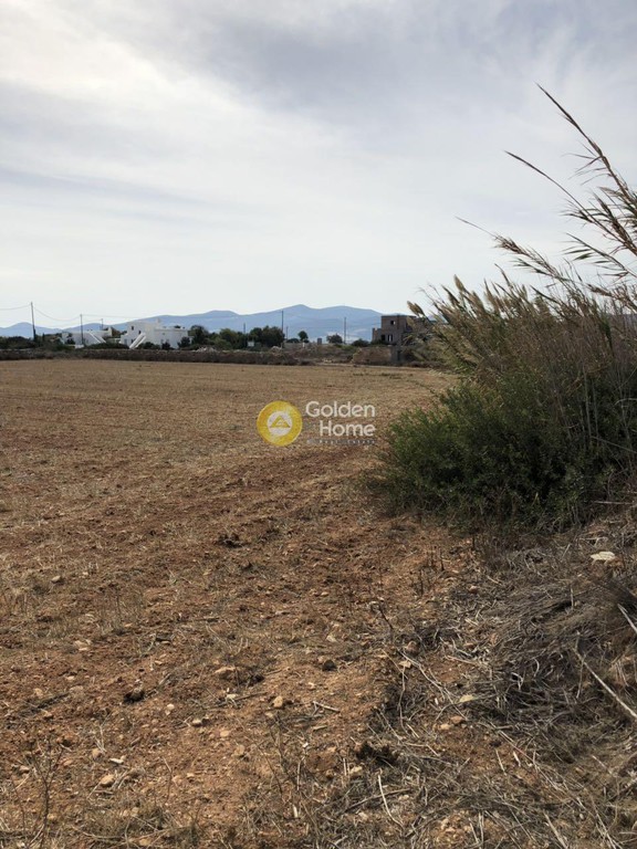 Οικόπεδο 8.400 τ.μ. προς πώληση, Κάμπος Πάρου