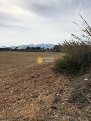 Οικόπεδο 8.400 τ.μ. για πώληση