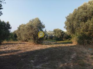 Οικόπεδο 3.050 τ.μ. για πώληση, Ν. Ρεθύμνου, Αρκάδι-thumb-7