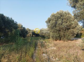 Οικόπεδο 3.050 τ.μ. για πώληση, Ν. Ρεθύμνου, Αρκάδι-thumb-6
