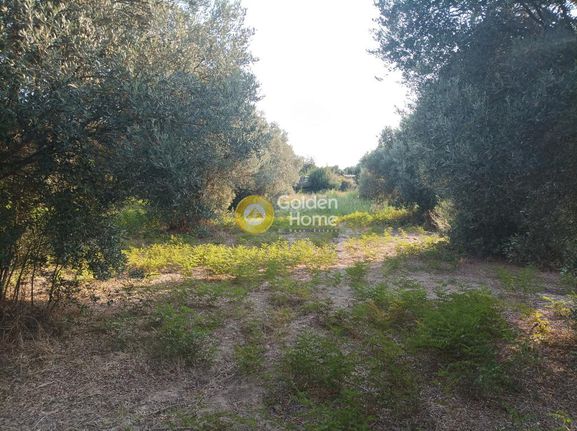 Οικόπεδο 3.050 τ.μ. για πώληση, Ν. Ρεθύμνου, Αρκάδι
