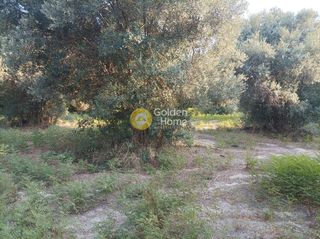 Οικόπεδο 3.050 τ.μ. για πώληση, Ν. Ρεθύμνου, Αρκάδι-thumb-13
