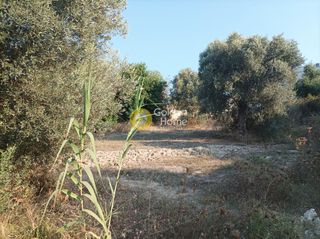 Οικόπεδο 3.050 τ.μ. για πώληση, Ν. Ρεθύμνου, Αρκάδι-thumb-14