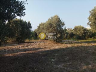 Οικόπεδο 3.050 τ.μ. για πώληση, Ν. Ρεθύμνου, Αρκάδι-thumb-5