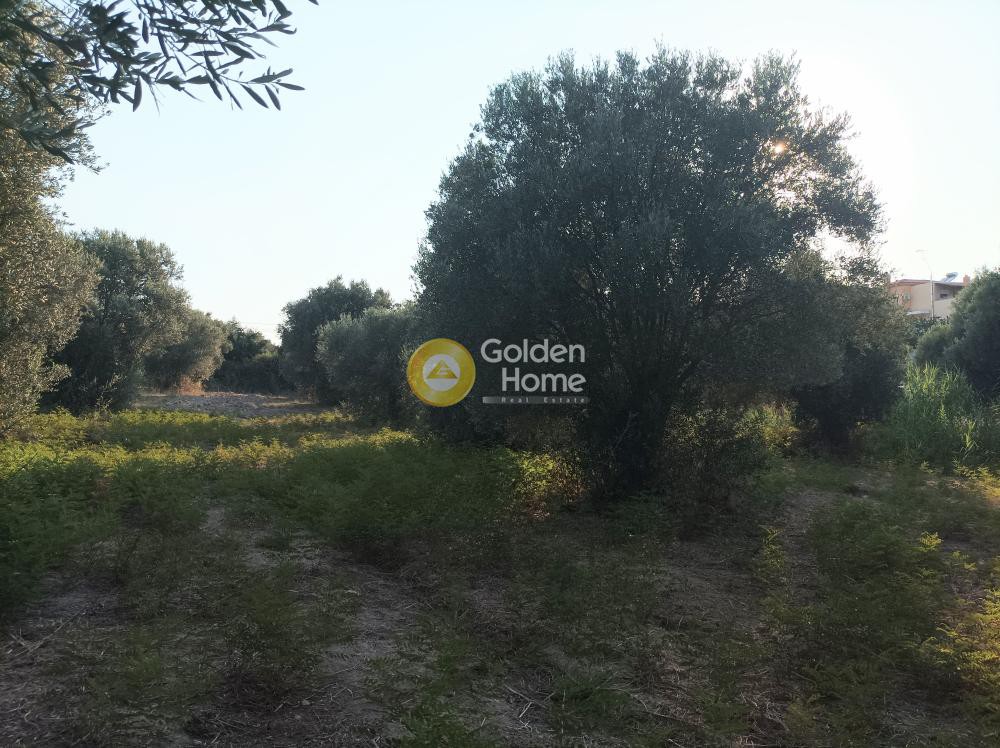 Οικόπεδο 3.050 τ.μ. πρός πώληση, Ν. Ρεθύμνου, Αρκάδι