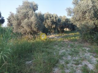 Οικόπεδο 3.050 τ.μ. για πώληση, Ν. Ρεθύμνου, Αρκάδι-thumb-15