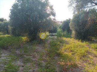 Οικόπεδο 3.050 τ.μ. για πώληση, Ν. Ρεθύμνου, Αρκάδι-thumb-10