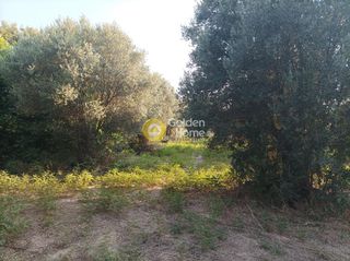 Οικόπεδο 3.050 τ.μ. για πώληση, Ν. Ρεθύμνου, Αρκάδι-thumb-12