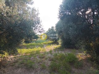 Οικόπεδο 3.050 τ.μ. για πώληση, Ν. Ρεθύμνου, Αρκάδι-thumb-8