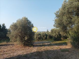 Οικόπεδο 3.050 τ.μ. για πώληση, Ν. Ρεθύμνου, Αρκάδι-thumb-11