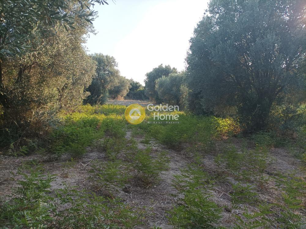 Οικόπεδο 3.050 τ.μ. πρός πώληση, Ν. Ρεθύμνου, Αρκάδι