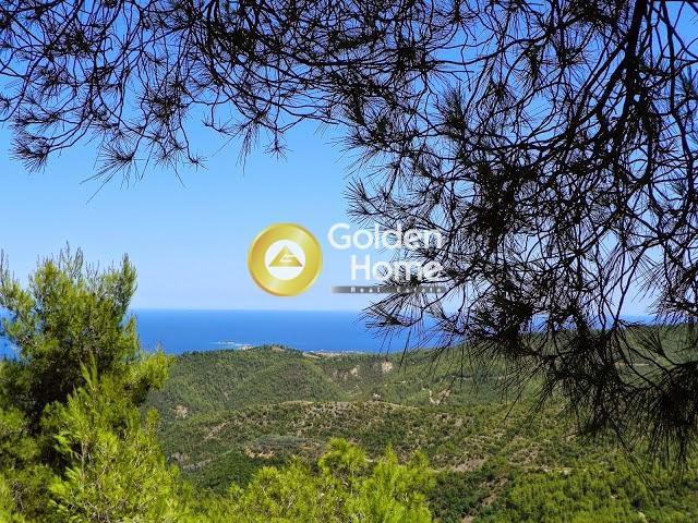 Οικόπεδο 221 τ.μ. προς πώληση, Γούβες Αρτεμισίου