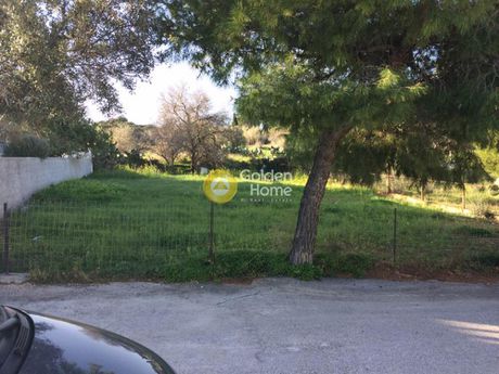 Land plot 350 sqm for sale
