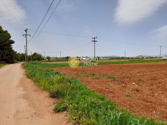 Land plot 5.500 sqm for sale, Rest Of Attica, Oropos