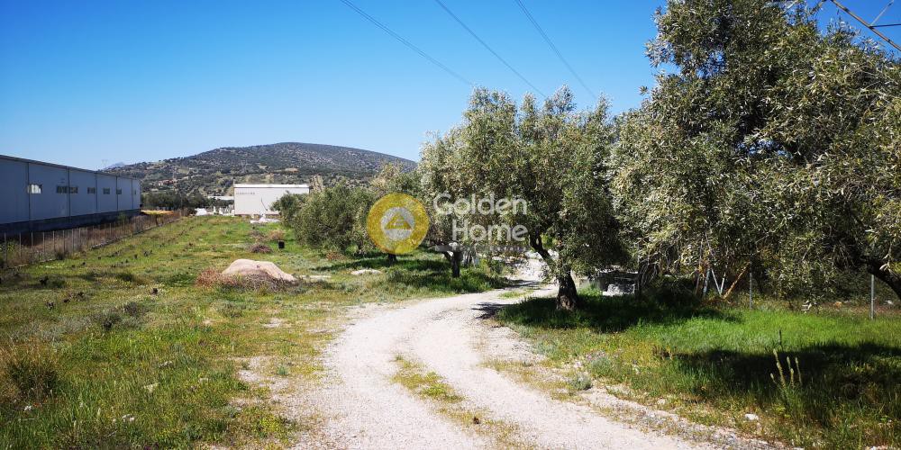 Οικόπεδο 6.800 τ.μ. προς ενοικίαση, Αττική - Υπόλοιπο, Καλύβια Θορικού