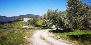 Οικόπεδο 6.800 τ.μ. για ενοικίαση
