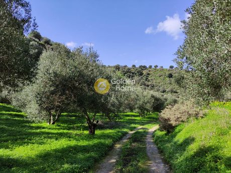 Οικόπεδο 8.000 τ.μ. προς πώληση