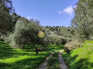 Οικόπεδο 8.000 τ.μ. για πώληση