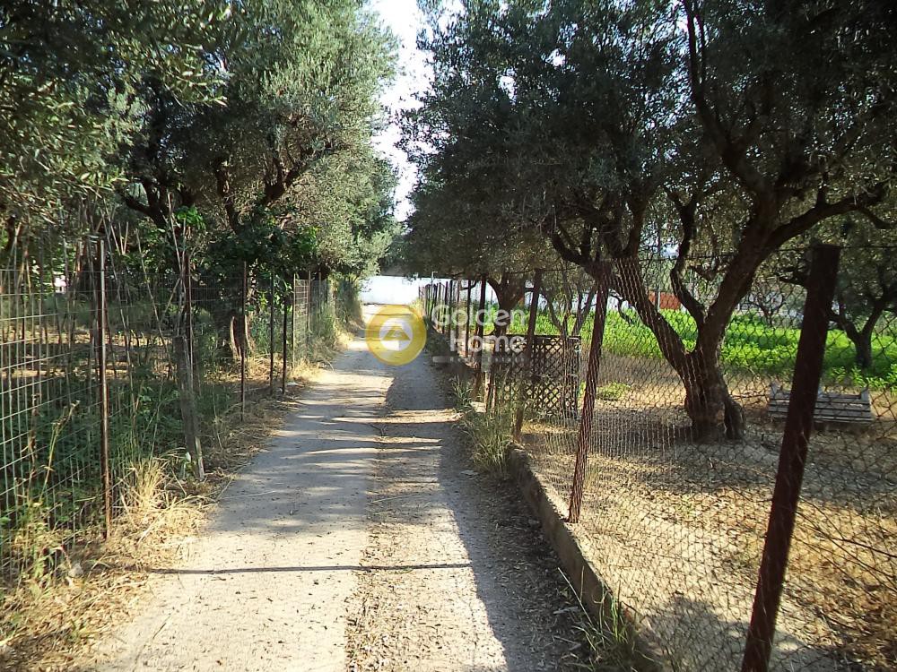 Οικόπεδο 2.000 τ.μ. για πώληση, Αχαΐα, Αιγιάλεια