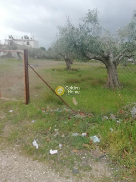 Οικόπεδο 2.000 τ.μ. προς πώληση, Λουτράκι Κορινθίας