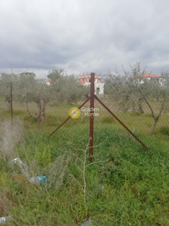 Οικόπεδο 2.000 τ.μ. προς πώληση, Λουτράκι Κορινθίας