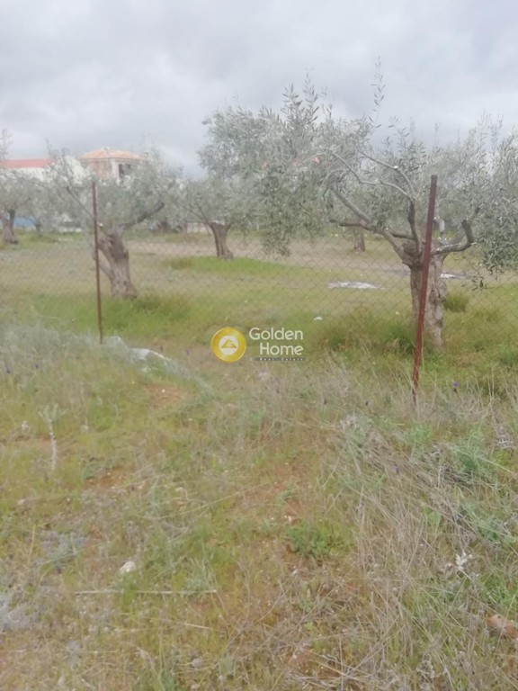 Οικόπεδο 2.000 τ.μ. προς πώληση, Λουτράκι Κορινθίας