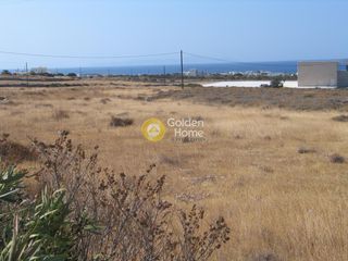 Αγροτεμάχια 9.848 τ.μ. για πώληση
