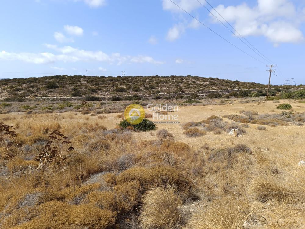Αγροτεμάχια 9.848 τ.μ. προς πώληση, Αλυκή Πάρου