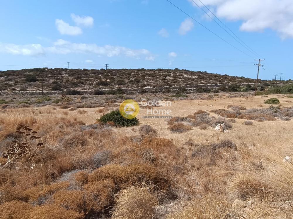 Αγροτεμάχια 9.848 τ.μ. προς πώληση, Αλυκή Πάρου