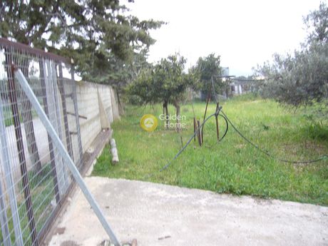 Αγροτεμάχια 18.000τ.μ. για πώληση-Κορωπί » Κέντρο