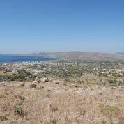 Οικόπεδο 42.000 τ.μ. προς πώληση, Μεγαλόνησος