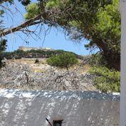 Οικόπεδο 42.000 τ.μ. προς πώληση, Μεγαλόνησος