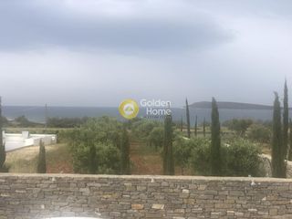 Αγροτεμάχια 8.000 τ.μ. για πώληση