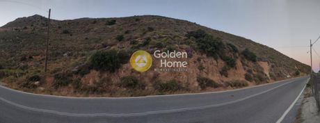 Parcel 12.500sqm for sale-Foinikas » Sellia