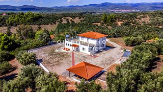 Μονοκατοικία 280 τ.μ. για πώληση