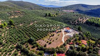 Μονοκατοικία 280 τ.μ. για πώληση, Χαλκιδική, Ορμύλια-thumb-25