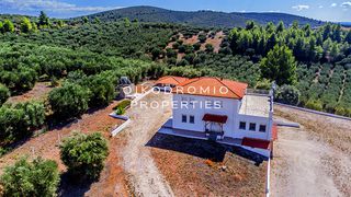 Μονοκατοικία 280 τ.μ. για πώληση, Χαλκιδική, Ορμύλια-thumb-22