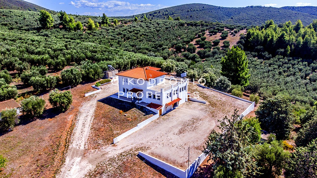 Μονοκατοικία 280 τ.μ. προς πώληση, Βατοπέδι