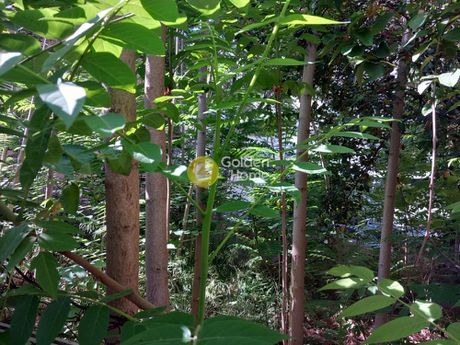 Land plot 182 sqm for sale