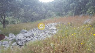 Αγροτεμάχια 9.430 τ.μ. προς πώληση, Ελλόμενο-thumb-5
