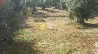Αγροτεμάχια 9.430 τ.μ. προς πώληση, Ελλόμενο-thumb-9