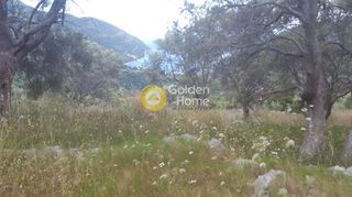 Αγροτεμάχια 9.430 τ.μ. προς πώληση, Ελλόμενο-thumb-6