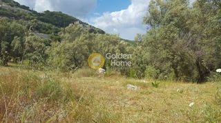 Αγροτεμάχια 9.430 τ.μ. προς πώληση, Ελλόμενο-thumb-7
