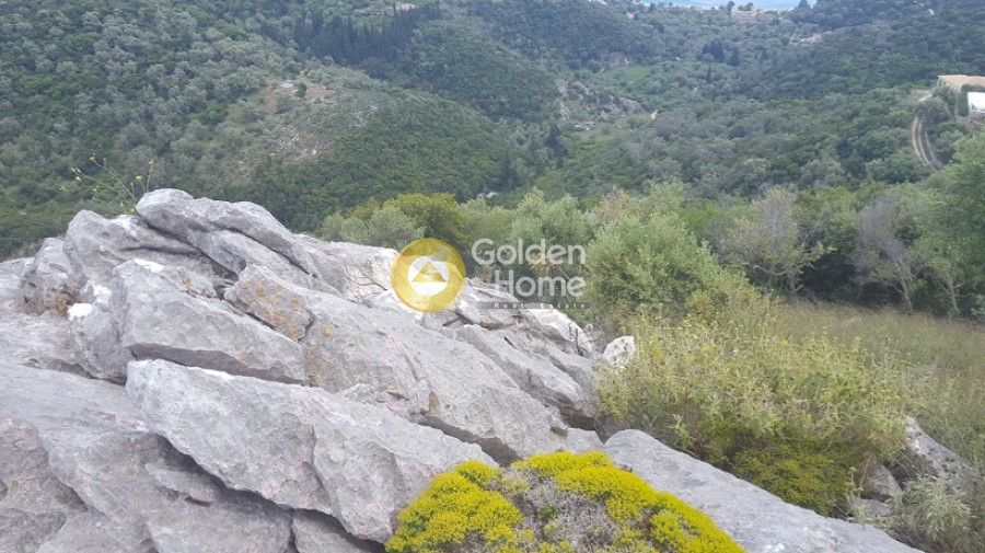 Αγροτεμάχια 9.430 τ.μ. προς πώληση, Ελλόμενο