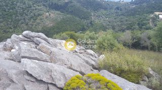 Αγροτεμάχια 9.430 τ.μ. προς πώληση, Ελλόμενο-thumb-1