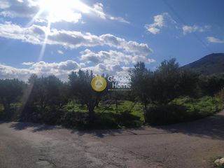 Οικόπεδο 1.292 τ.μ. για πώληση