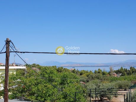 Μονοκατοικία 195τ.μ. για πώληση-Οινόφυτα » Δήλεσι